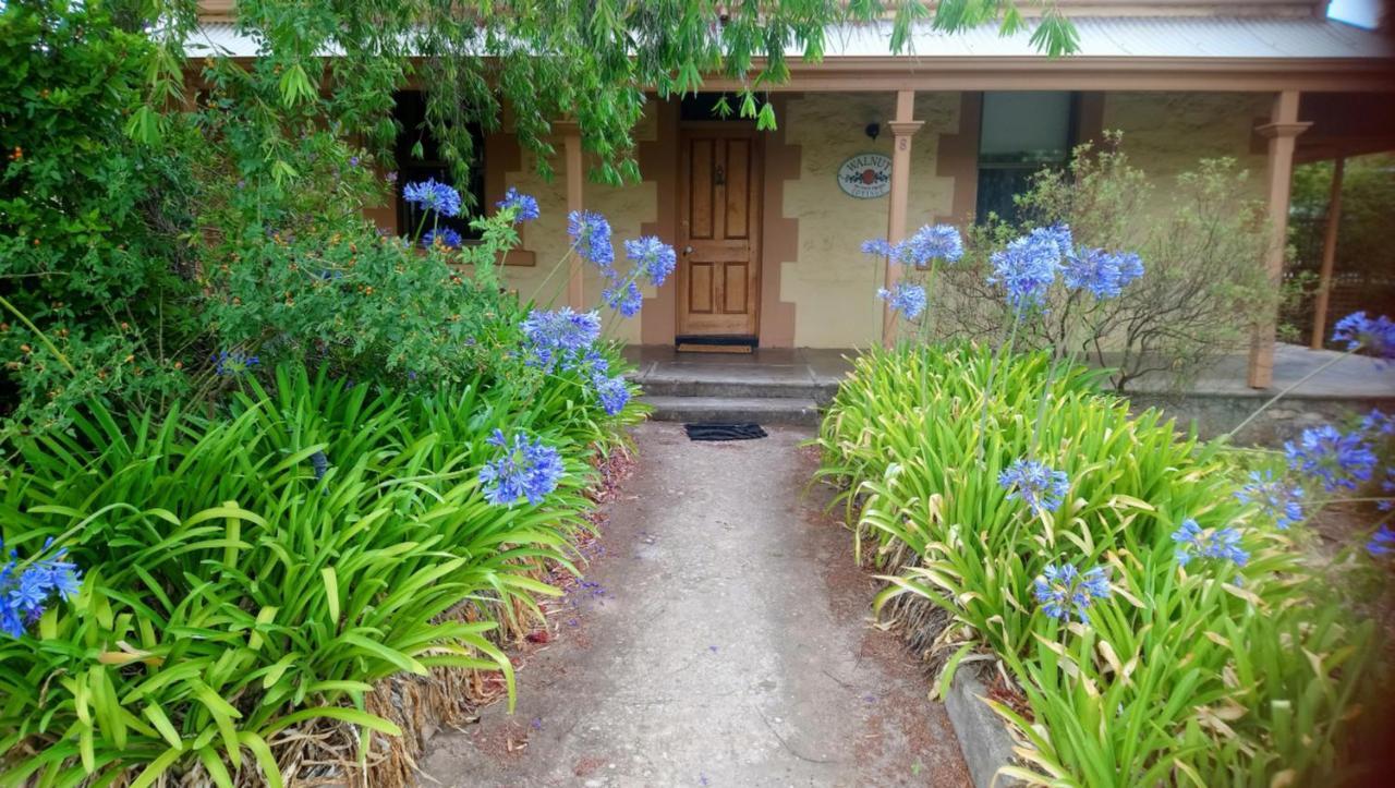 Walnut Cottage Angaston Exteriér fotografie