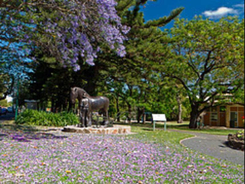 Walnut Cottage Angaston Exteriér fotografie