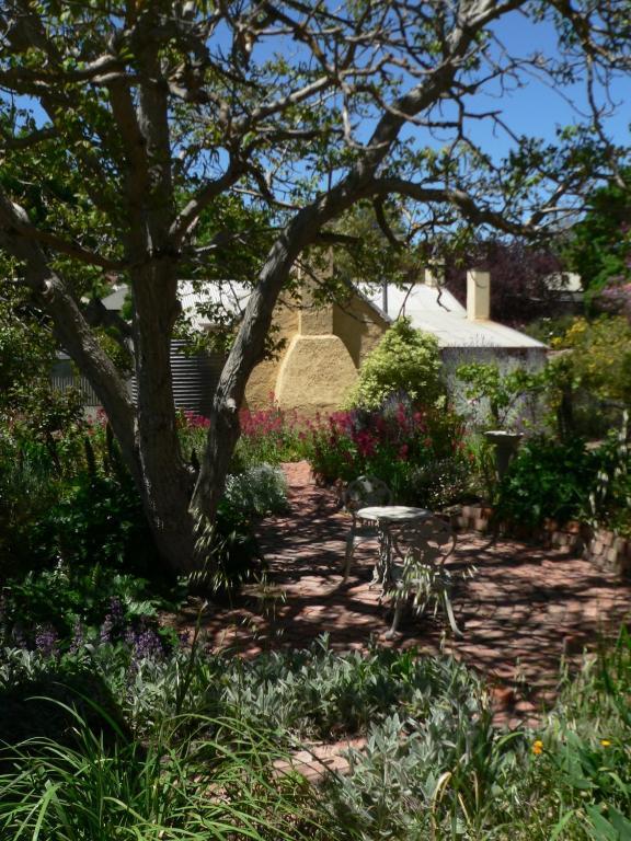 Walnut Cottage Angaston Exteriér fotografie